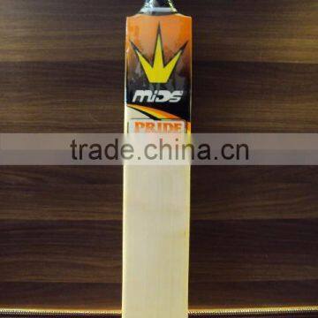 Mids Cricket Bat Model Pride photo-3