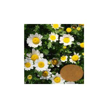 Feverfew Extract plant extract factory