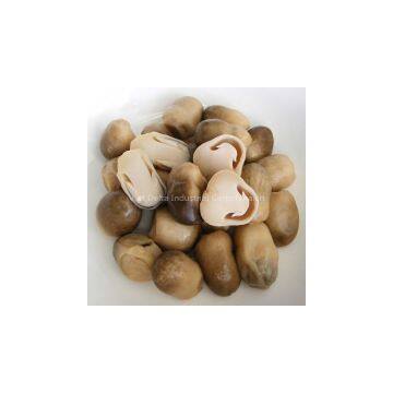 CANNED STRAW MUSHROOM/IN BRINE photo-3