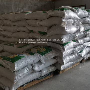 New Crop Sunflower Seed of Type 601 photo-3