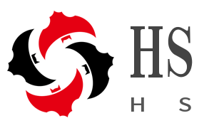 HS Electrical Technology Co,LTD company overview - view 1