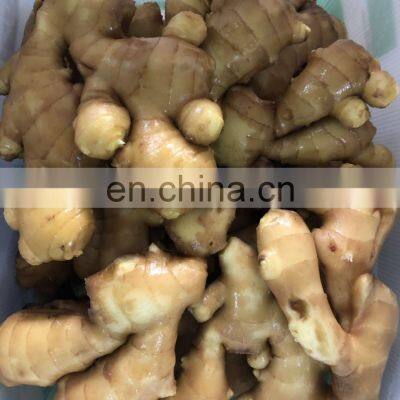 Siinocharm 2022 New Crop Hot Sale High Quality Fresh Whole Ginger photo-4
