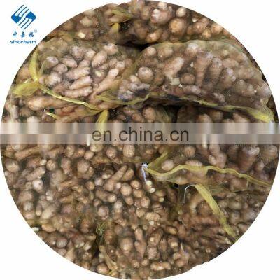 2020 Crop High Quality Fresh and Air Ginger photo-5