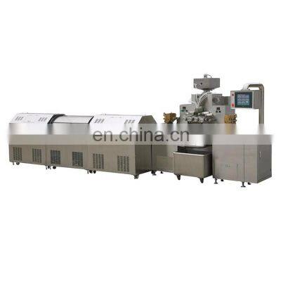 HSR Garlic Oil Softgel Capsule Filling Machine Fish Oil Soft Capsule Making Machine