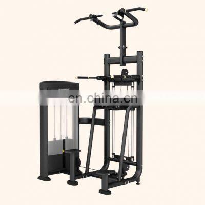 Strength Dual Assisted Chin / Dip Selectorised Machine for Workout