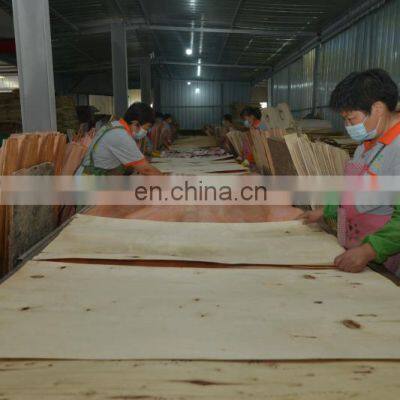 Marine plywood 1220*2440*18mm film faced plywood Concrete shuttering formwork