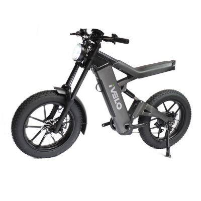 IVelo Wholesale 20*4.0 1000W Motor Big Power Fat Tire Electric Bike Mountain Ebike Bicycle photo-4