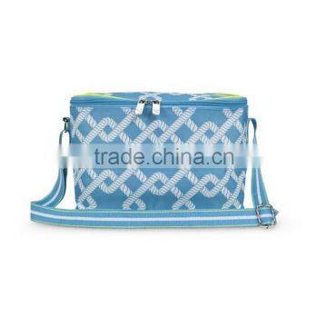 Picnic Lunch Tote Bag insulated lunch box