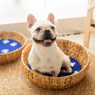 Winter Soft Warm Semi-Enclosed Cat Litter Dog Bed House Indoor Cozy Comfy Pet Cat Bed