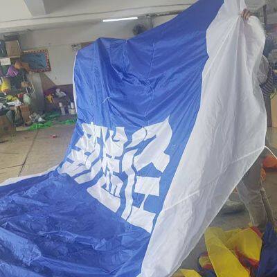 OEM All Shapes, Design and Kinds of Kites for Advertising and Activities Occasions photo-5