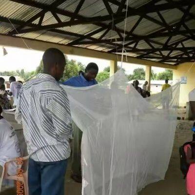 African Polyester Rectangular Mosquito Net With Deltamethrin or Alphacypermethrin, PBO Treated