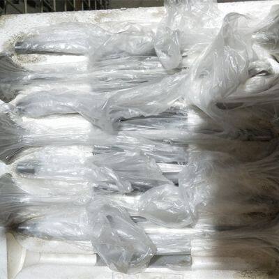 Впускной и выпускной клапан. Клапан выпускной 12VB.03.22 12VB.03.37D для двигателя Jinan Diesel B6190