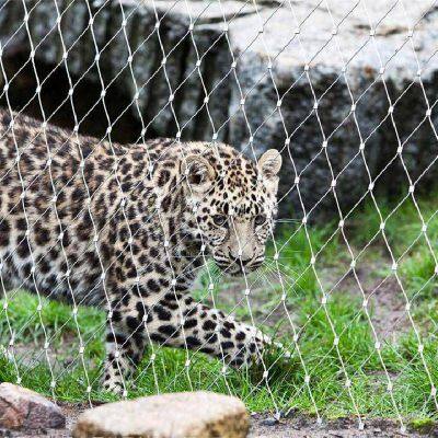 Custom-Sized Stainless Steel Wire Rope Mesh with Ferrule Termination