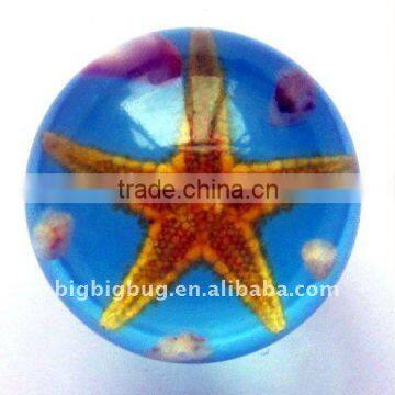 R2002HJ01Y Sea Life Sphere Crystal