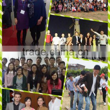 Business Custom Logo Envelope, Mailing Envelope, Paper Mailing Bags photo-6