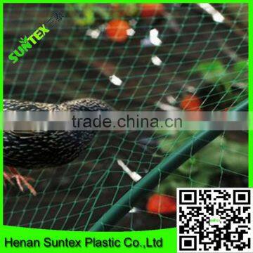 supply Eco-friendly plastic anti bird net&pond cover mesh