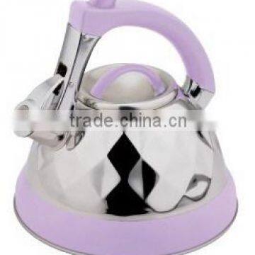 color painting 3.0L stainless steel whistling kettle