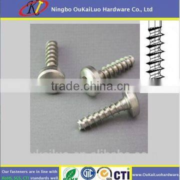 Stainless Steel A2 m3 Self Tapping Screw PT screw