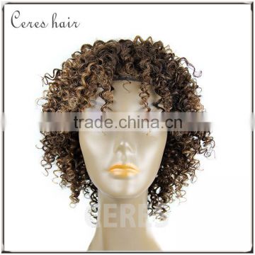 New products bohemian wig kinky curly human hair wig for black women