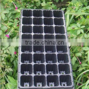 PS Black Seed Tray