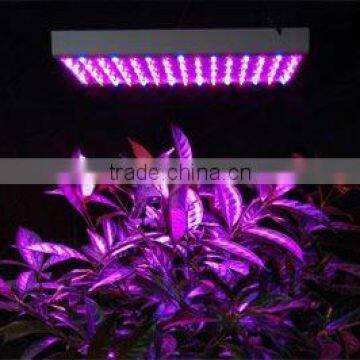 LED Grow Light 28W