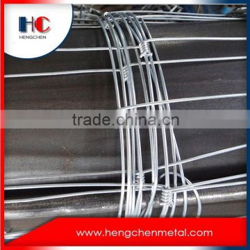 High quality guaranteed hot dipped galvanized glassland mesh