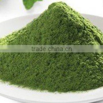 KOSHER certificate China Spinach Powder