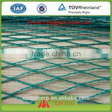 pe anti bird net,green anti bird net,bird netting (factory)