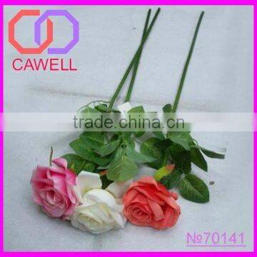 Colorful single silk spring rose