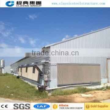 Low Cost Steel Structure Modern Chicken Shed photo-4