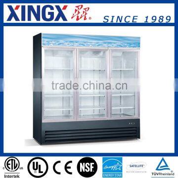 True Glass Door Showcase, Best Buy Big Freezer/Refrigerator, Supermarket Merchandiser_SD1.9L3