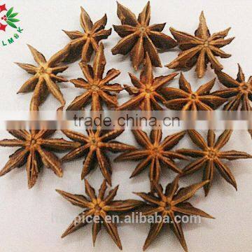Guangxi ,China Dry Star Aniseeds Without Stem