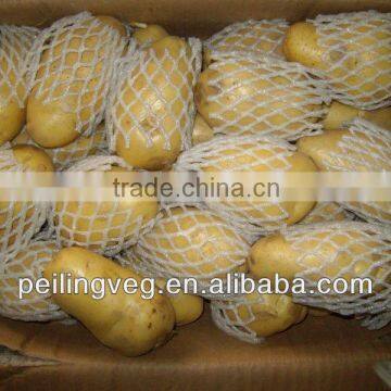 2013 new crop 10kg carton Fresh Potato