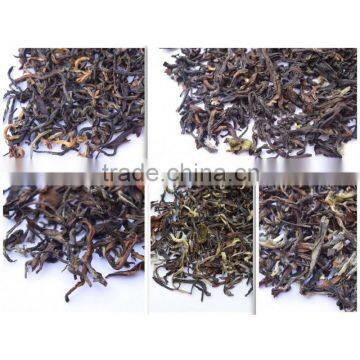 Darjeeling Muscatel Maharaja Sampler Pack