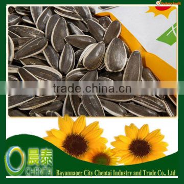 2015 Sunflower Seeds Market Price 5009 Top Quality