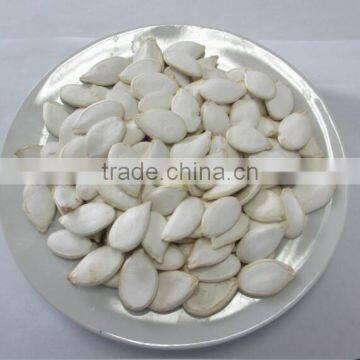 excellent quality snow white pumpkin seeds from China for distributors