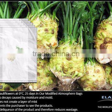 Celeriac protective bag