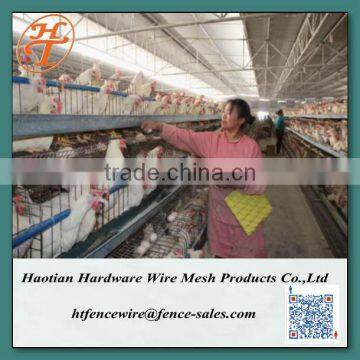 layer poultry cages for kenya farms