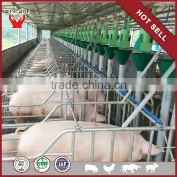 Automatic Pig feeding equipment equipment for farm pig