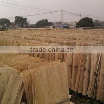 FACTORY PRICE PROFESIONAL SHORT CORE VENEER FOR PLYWOOD