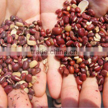 Soya Bean Polishing Machine photo-2