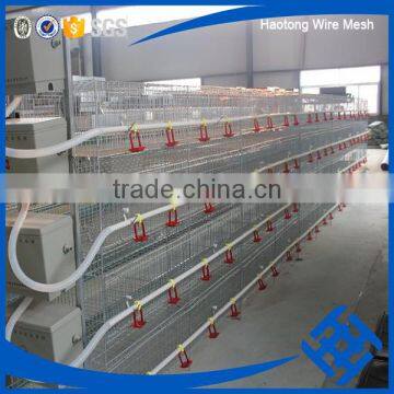 wholesale chicken cage H type best price poultry farm egg layer