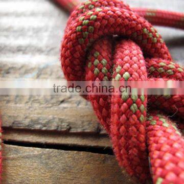 Recycled Climbing Rope & Carabiner Dog Leash - Red