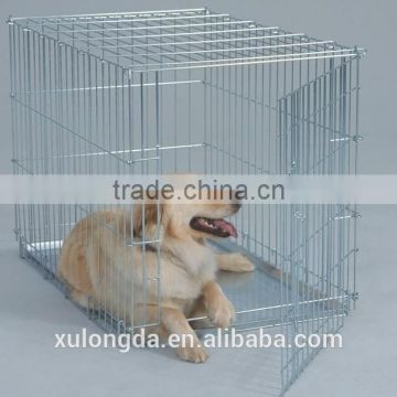 electronic dog fence