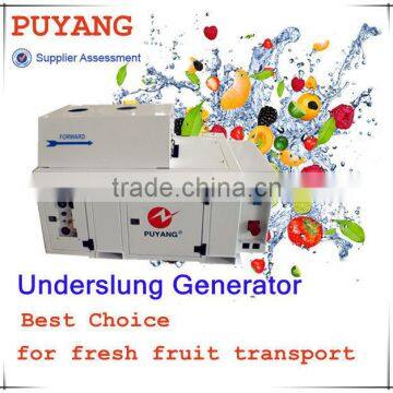 Container Used Underslung 16kw Generator for Reefer for Fresh Seafood photo-3