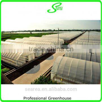100x8m Agricultural Plastic Tunnel Greenhouse for Sale photo-4