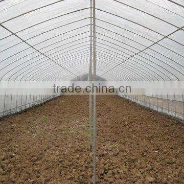 Simple Structure Tunnel Greenhouse For Vegetables/Flowers/Fruits photo-3