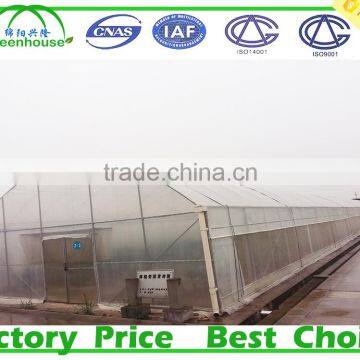 Double layer plastic film greenhouse