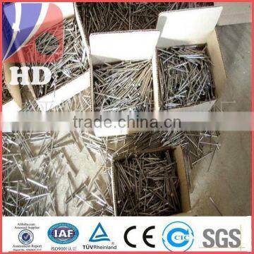 electro galvanized common naill with best quality