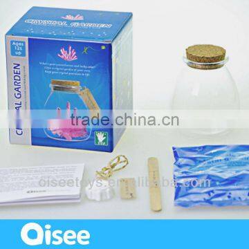 fashion lovely wishing gift wholesale diy crystal growing kit with glass bottle - crystal garden